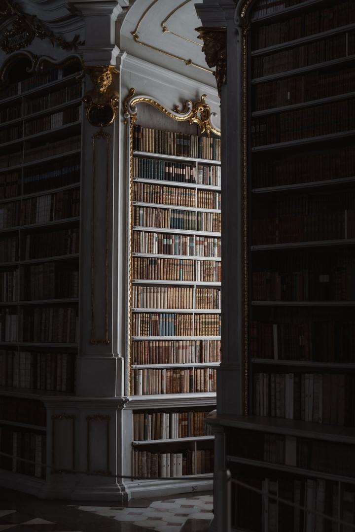 old books library shelves